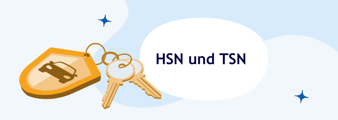 HSN Und TSN: Schlüsselnummern Finden Und Einsetzen